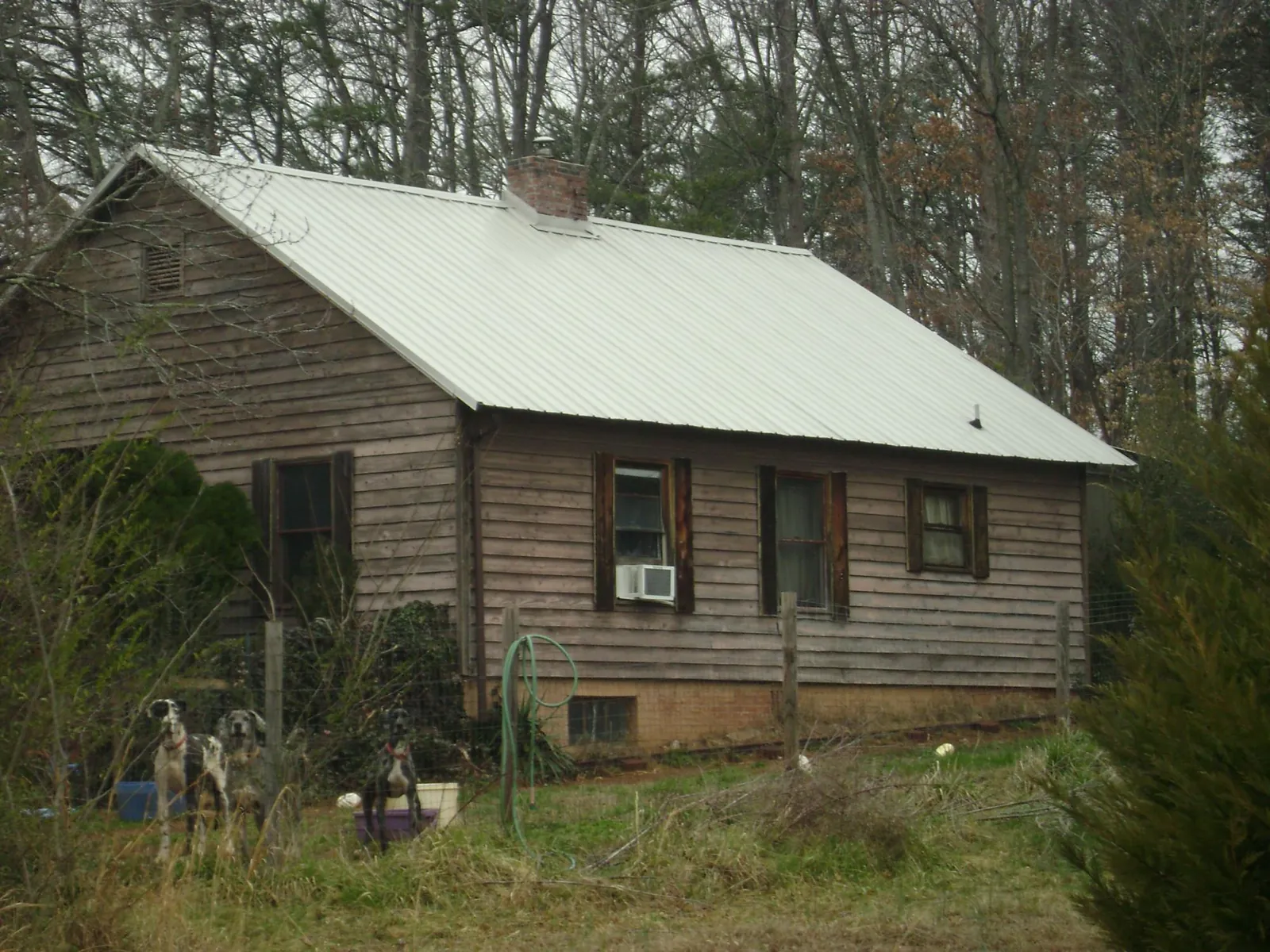 White metal roof on an old wood sided farmhouse, from a Metal Roof Installation job in Advance